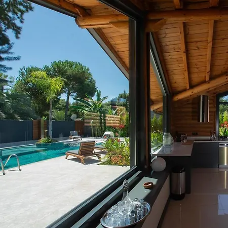 Living Dream Lignum Duaci