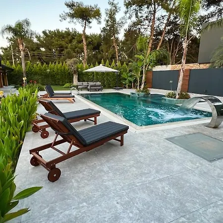 Apartment Living Dream Lignum