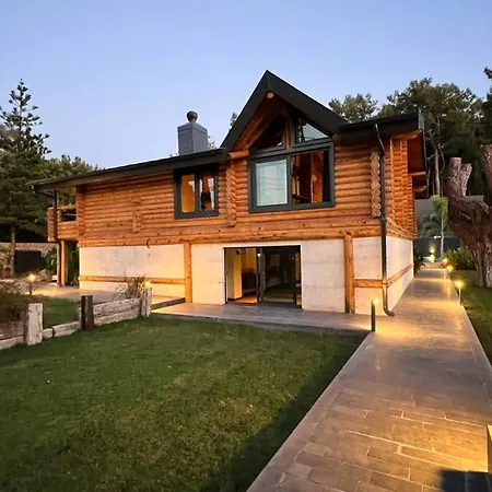 Living Dream Lignum