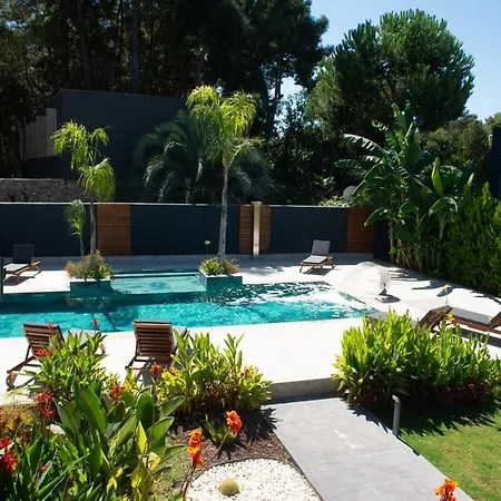 Living Dream Lignum Apartment