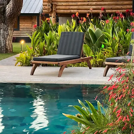 Apartment Living Dream Lignum *