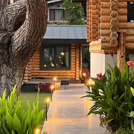 Living Dream Lignum * Duaci