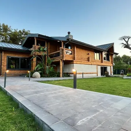 Living Dream Lignum
