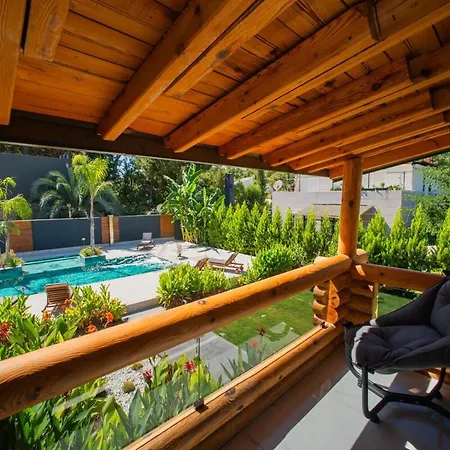 Living Dream Lignum * Duaci