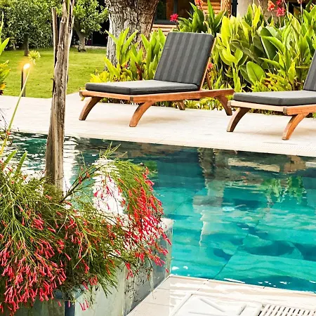Living Dream Lignum Apartment