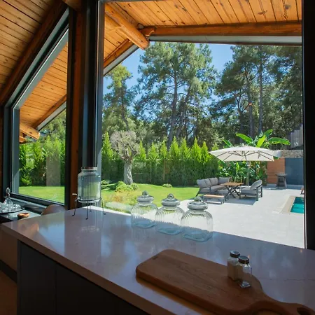 Apartment Living Dream Lignum