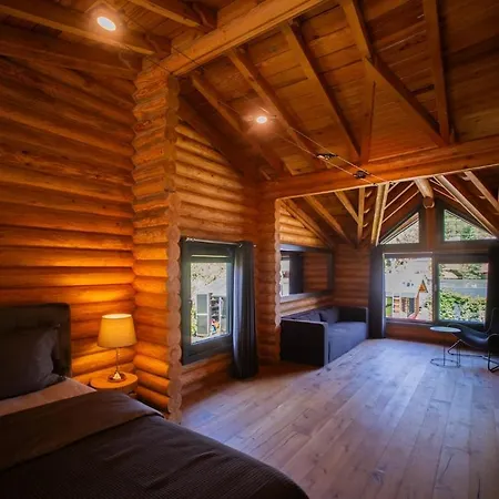 Living Dream Lignum Duaci