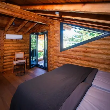 Living Dream Lignum * Duaci
